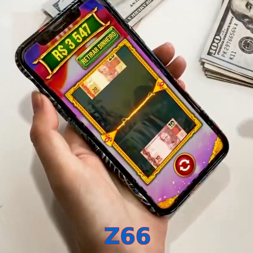 Z66